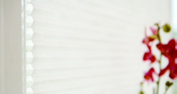 Intu Pleated
