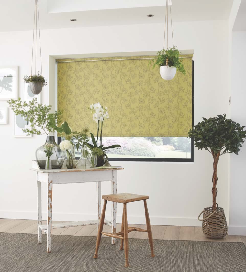 Roller Blinds - Anaya Pistachio